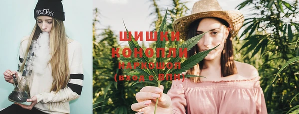амф Ступино