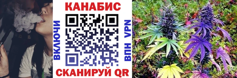Каннабис сатива  Туран 